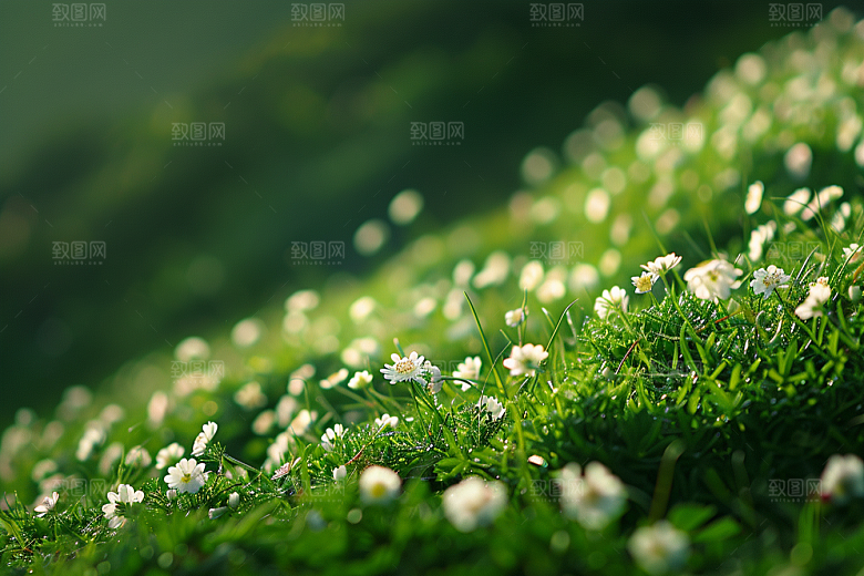 草地山野风光摄影图