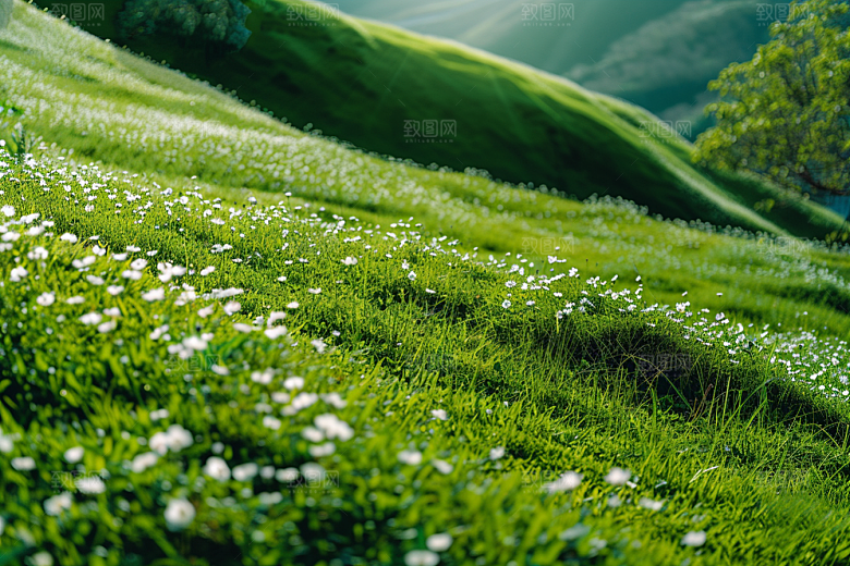 草地草原山野摄影图