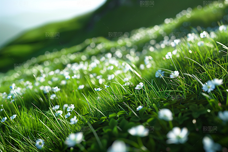 草地清新原野摄影图