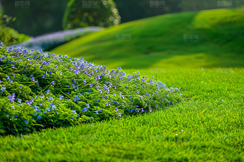 草地草原夏天摄影图