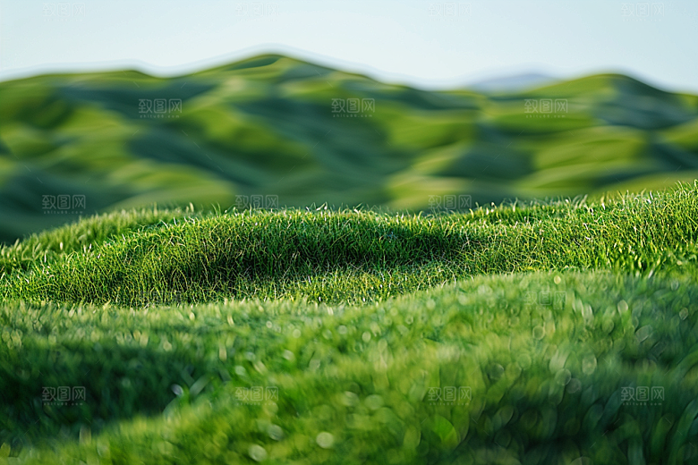 草地绿色风景摄影图