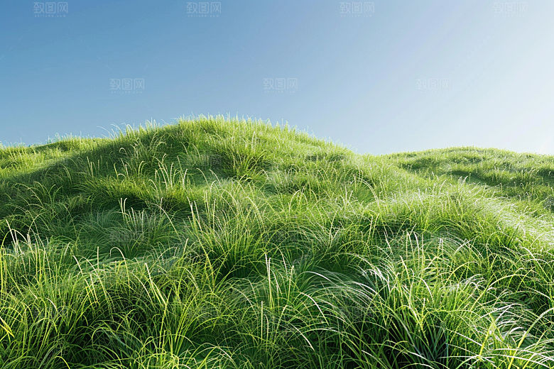 草地夏天风光摄影图