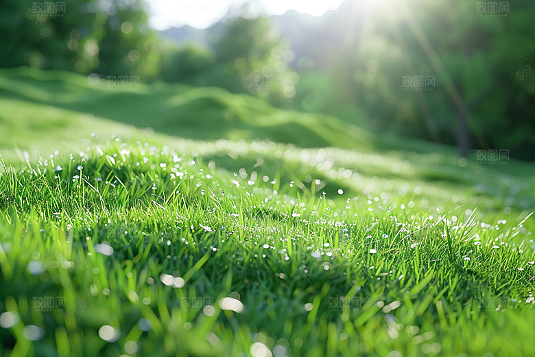 草地绿色夏天摄影图