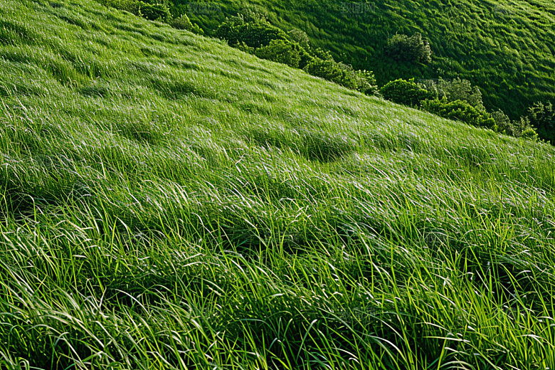 草地山野草原摄影图