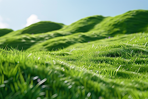 草地自然绿色摄影图