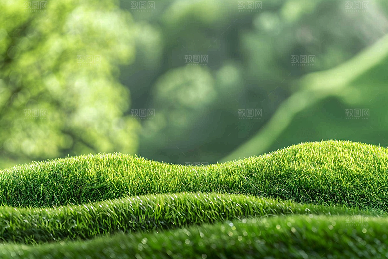 草地高清夏天摄影图