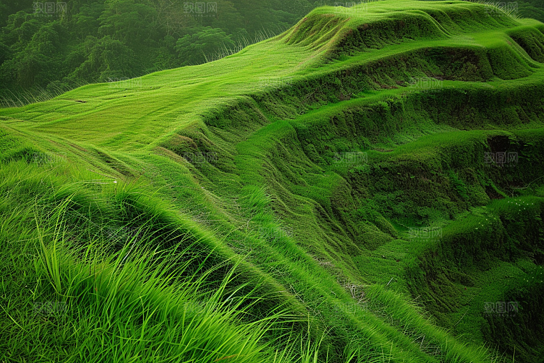 草地自然风景摄影图