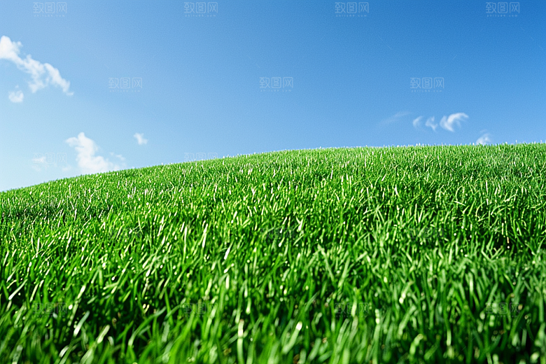 草地自然夏天摄影图