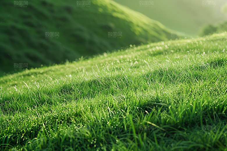 草地风光草原摄影图