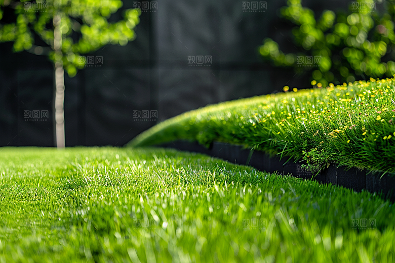 草地七月夏天摄影图