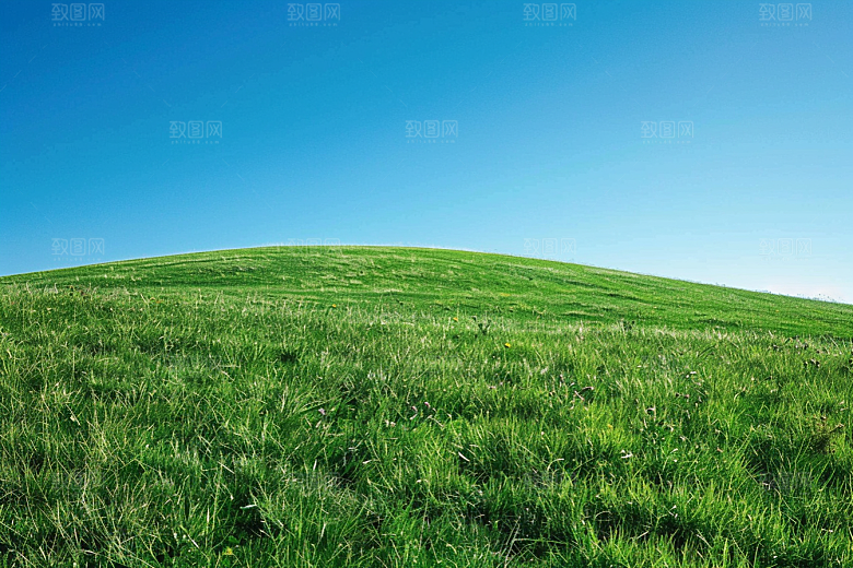 草地原野夏天摄影图