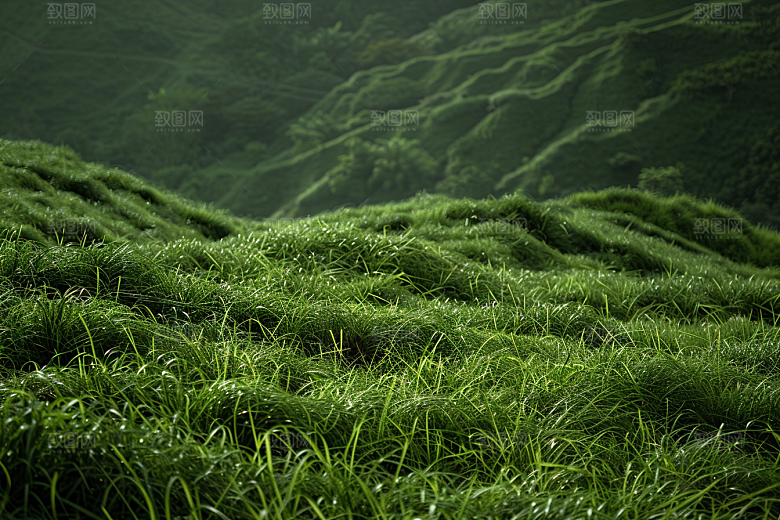 草地风光草原摄影图