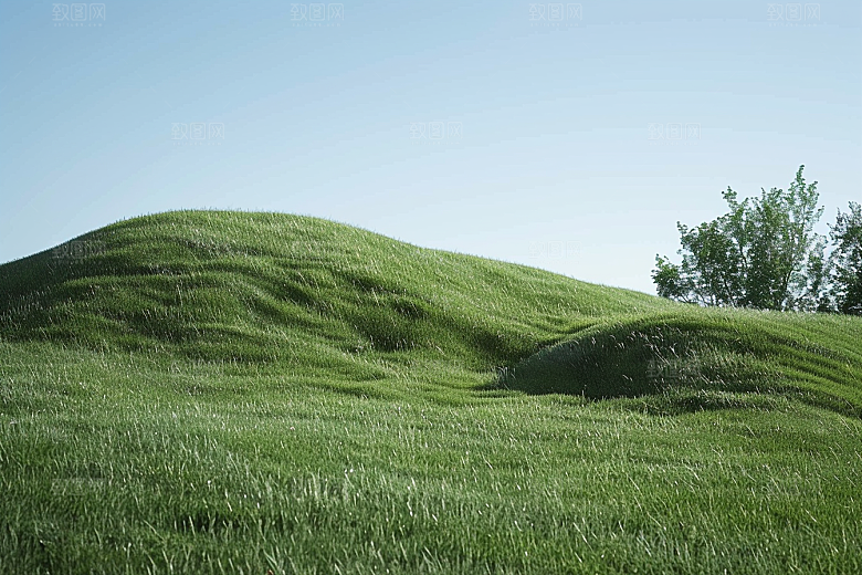 草地风景夏天摄影图