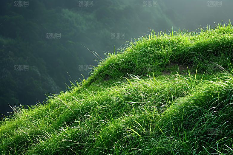 草地山野夏天摄影图