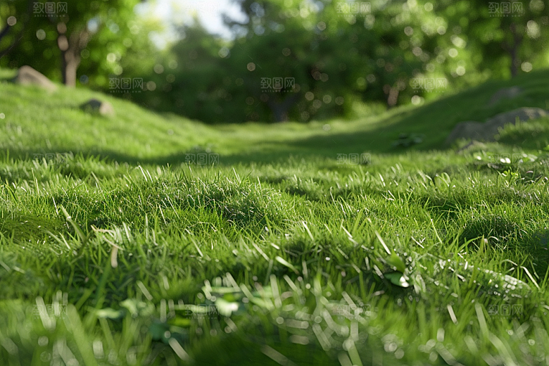 草地清新草原摄影图