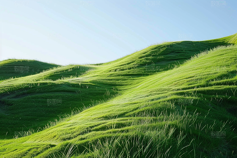 草地自然山野摄影图