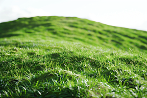 草地绿色清新摄影图