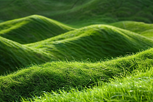 草地风景原野摄影图