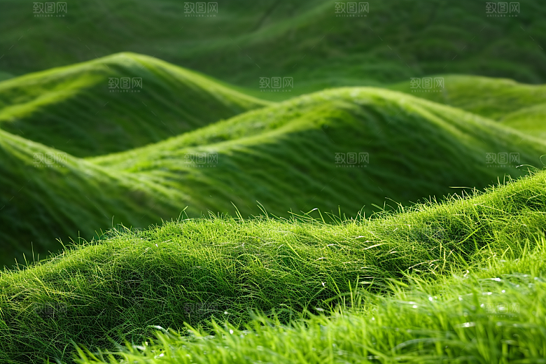 草地风景原野摄影图