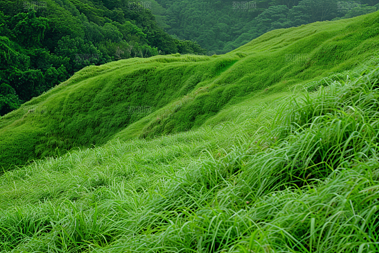 草地高清风景摄影图