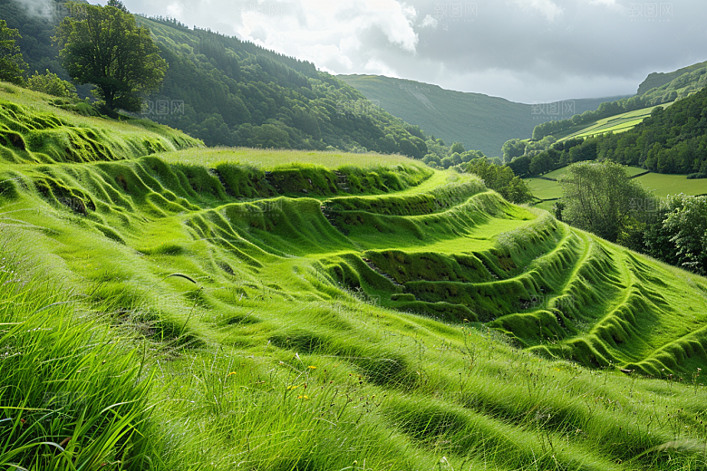 草地原野风景摄影图