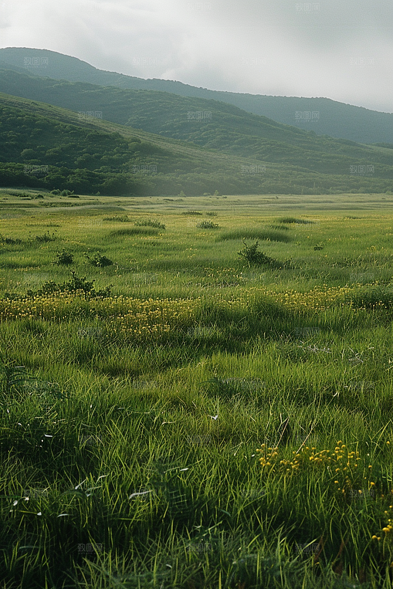 草地绿色山野摄影图