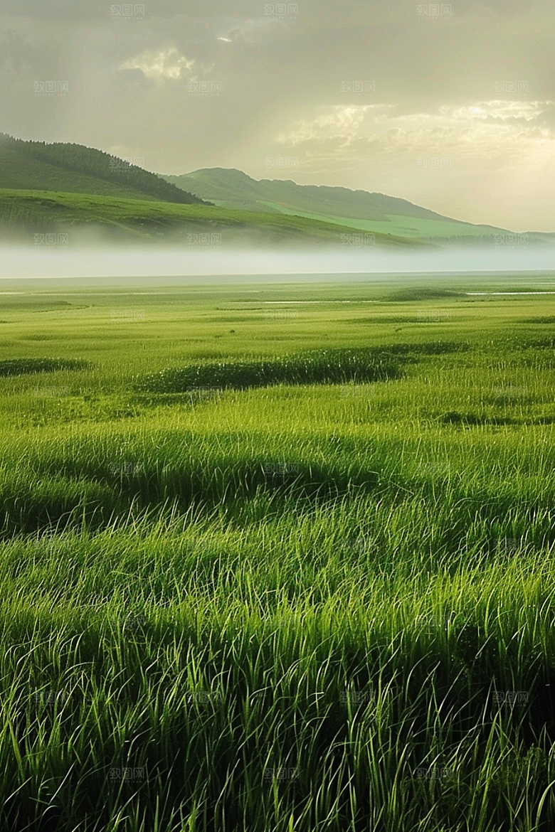 草地清新原野摄影图