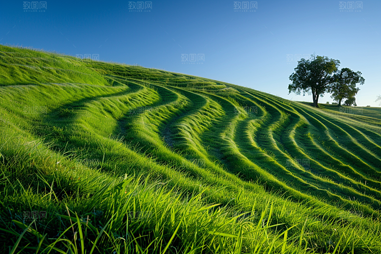 草地草场风景摄影图