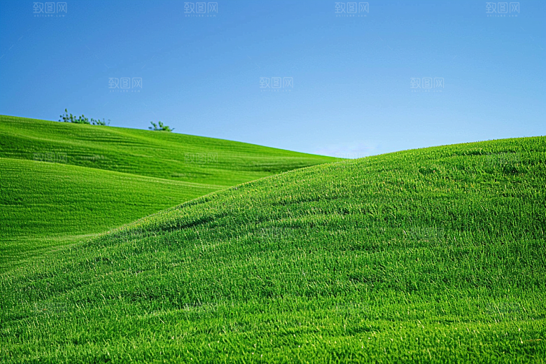 草地风光风景摄影图