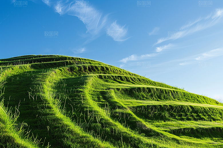 草地高清草场摄影图