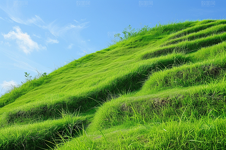 草地清新夏天摄影图