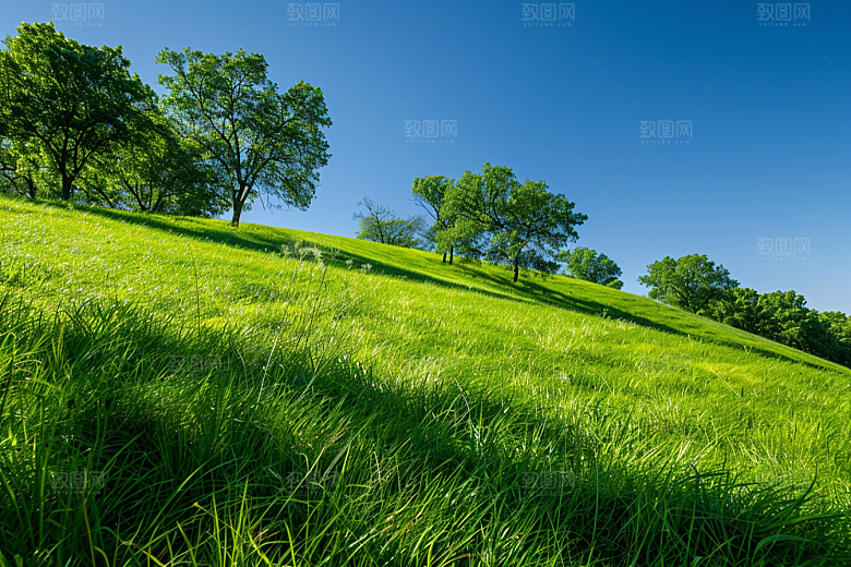 草地山野风景摄影图