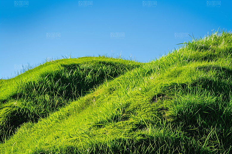 草地原野风景摄影图