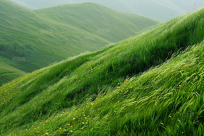 草地草原草场摄影图