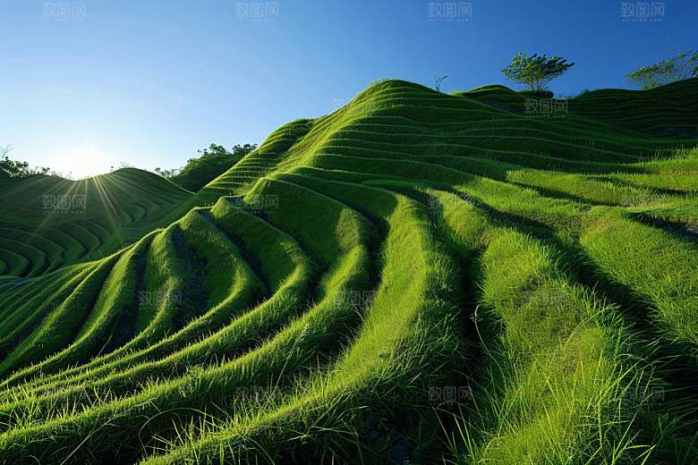 草地山野原野摄影图