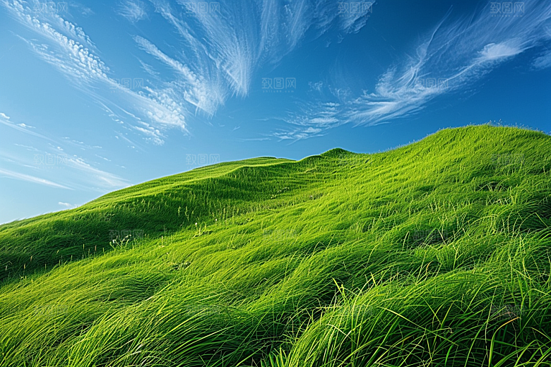 草地草原山野摄影图