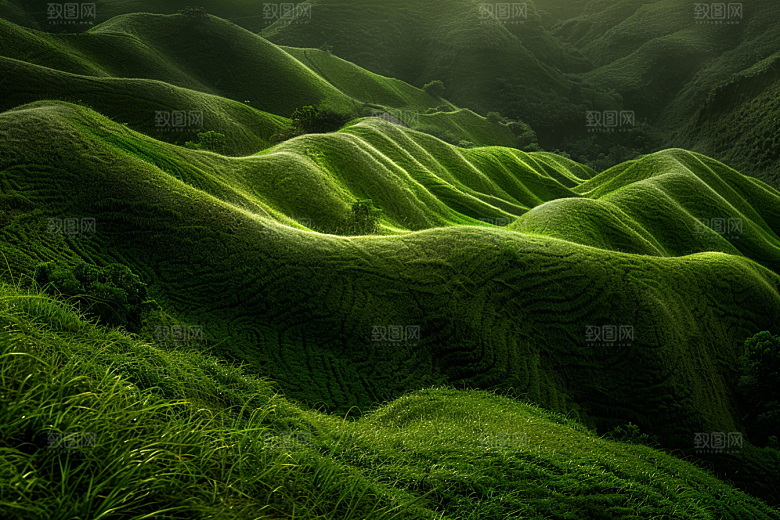 草地原野风景摄影图