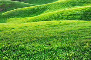 草地绿色七月摄影图