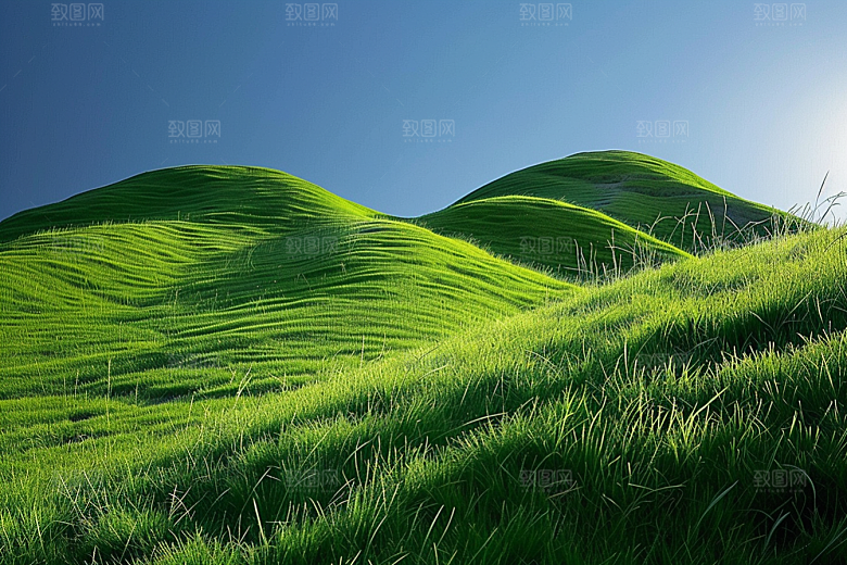 草地绿色草场摄影图