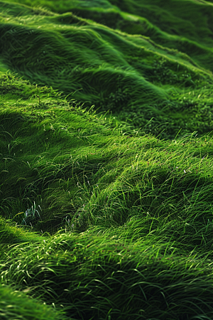 草地风景绿色摄影图