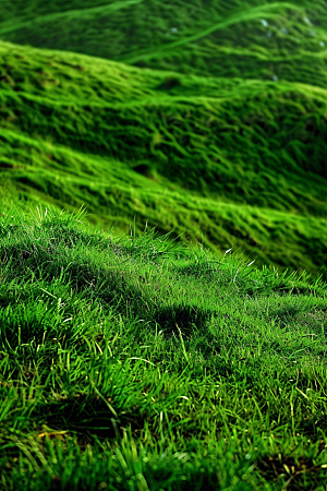 草地夏天绿色摄影图