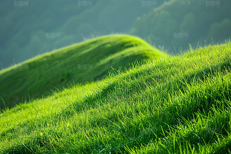 草地原野风景摄影图