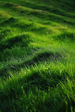 草地清新自然摄影图
