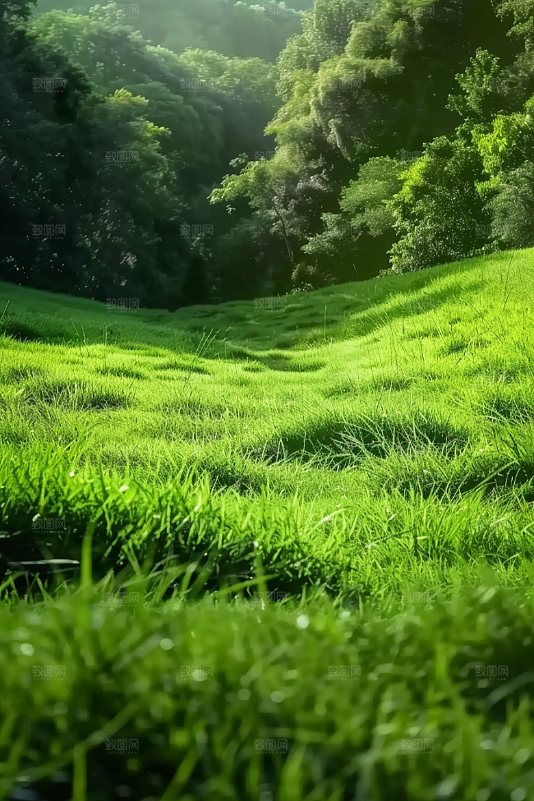 草地风景风光摄影图