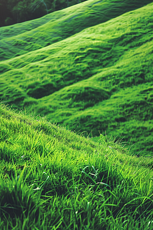 草地高清绿色摄影图