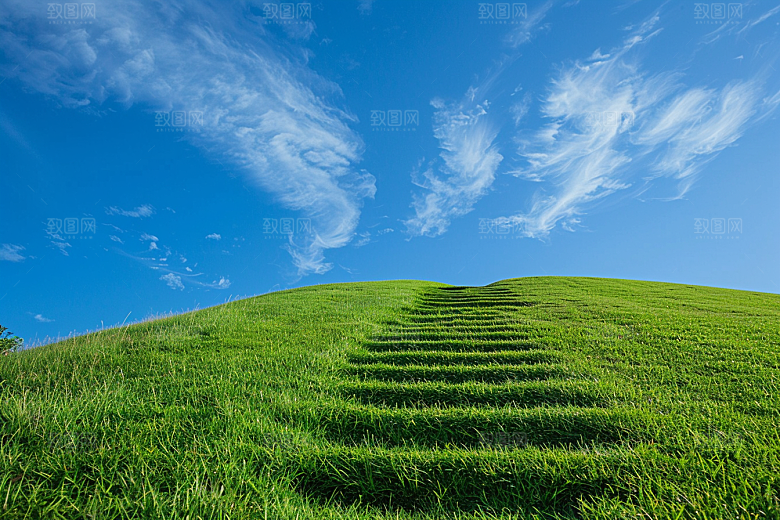 草地清新高清摄影图