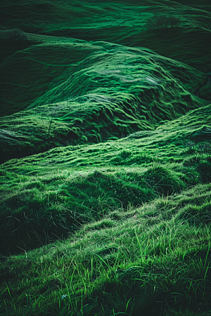 草地绿色山野摄影图