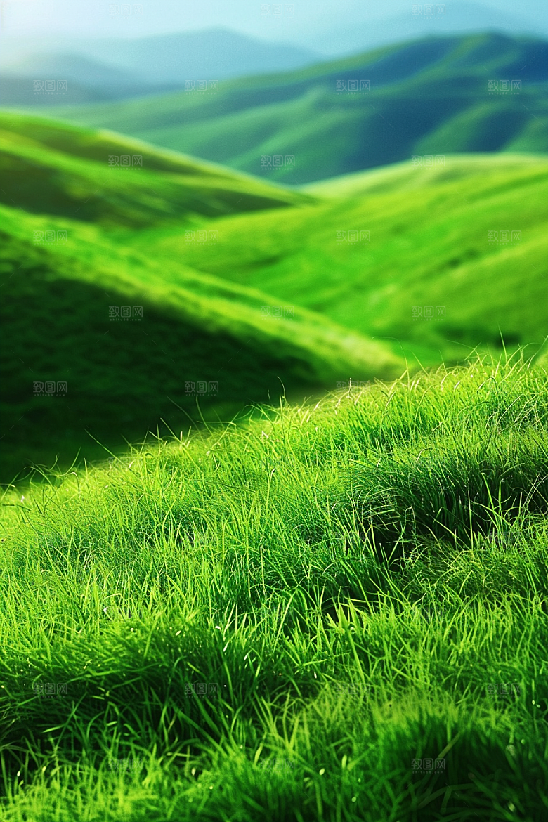草地绿色风景摄影图