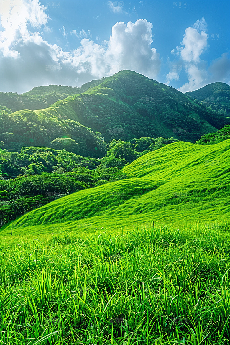 草地山野草原摄影图
