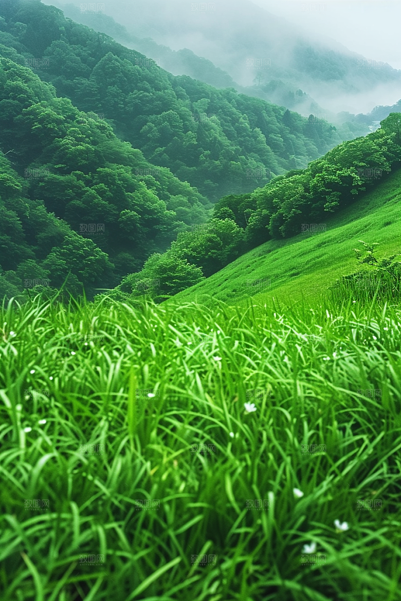 草地风光山野摄影图